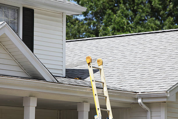 Professional Siding Installation & Repair in Pike Road, AL